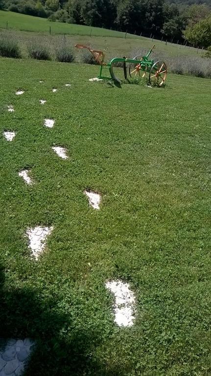 Hotel Agroturism Stara Stala Borut Esterno foto
