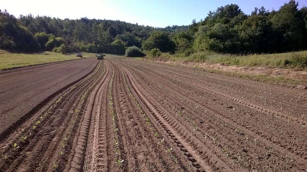 Hotel Agroturism Stara Stala Borut Esterno foto