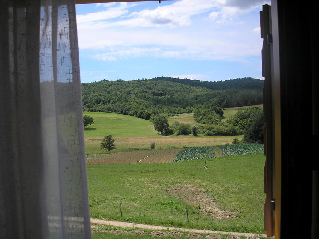 Hotel Agroturism Stara Stala Borut Camera foto