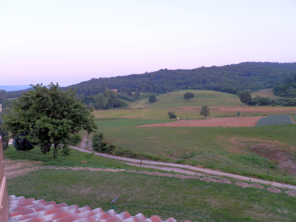 Hotel Agroturism Stara Stala Borut Camera foto
