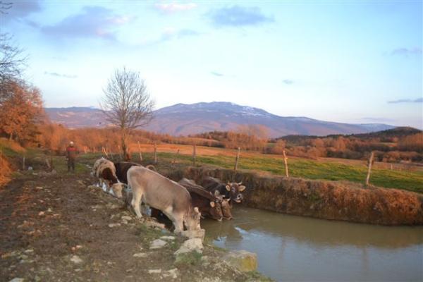 Hotel Agroturism Stara Stala Borut Esterno foto
